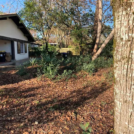 Les Cles Du Bassin Villa Lege-Cap-Ferret Exterior photo