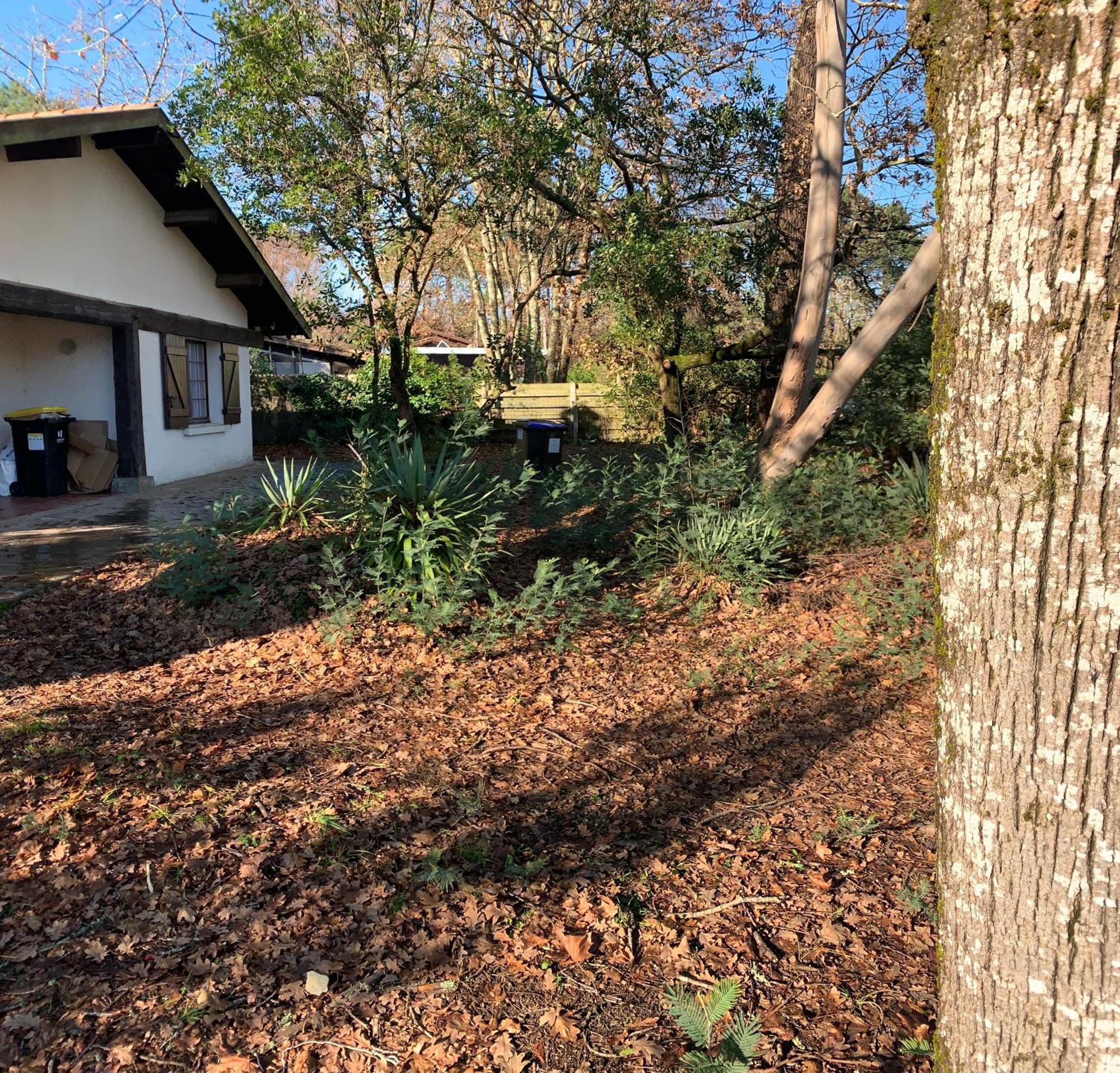 Les Cles Du Bassin Holiday home *